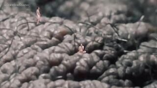 Гигант чешет орехи - порно видео