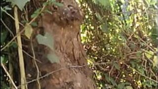 Засвет хуя перед красными женщинами - порно видео